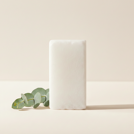 Evam Piedra Alumbre 90g